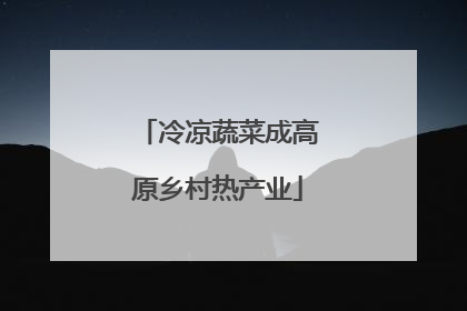 冷凉蔬菜成高原乡村热产业