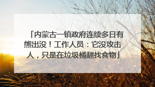内蒙古一镇政府连续多日有熊出没！工作人员：它没攻击人，只是在垃圾桶翻找食物
