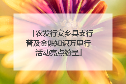 农发行安乡县支行普及金融知识万里行活动亮点纷呈
