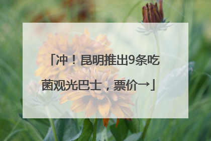 冲！昆明推出9条吃菌观光巴士，票价→