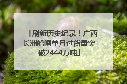 刷新历史纪录！广西长洲船闸单月过货量突破2444万吨