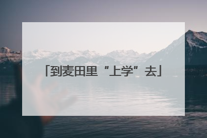 到麦田里“上学”去