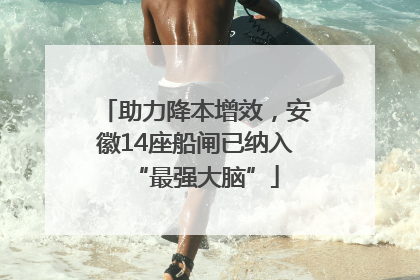 助力降本增效，安徽14座船闸已纳入“最强大脑”