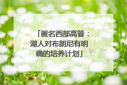 匿名西部高管：湖人对布朗尼有明确的培养计划
