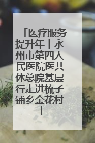 医疗服务提升年丨永州市第四人民医院医共体总院基层行走进梳子铺乡金花村