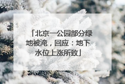 北京一公园部分绿地被淹，回应：地下水位上涨所致