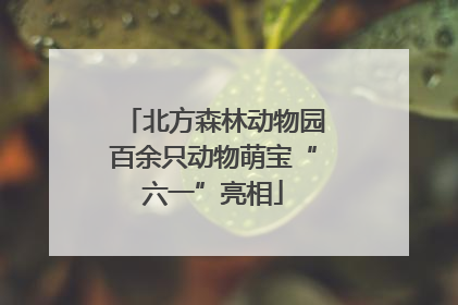北方森林动物园百余只动物萌宝“六一”亮相