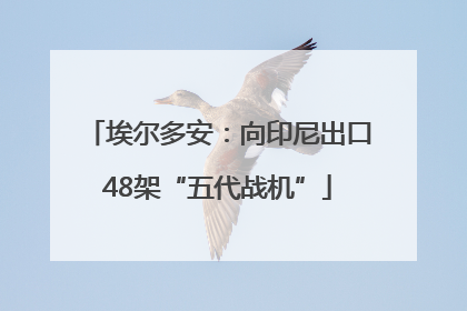 埃尔多安：向印尼出口48架“五代战机”