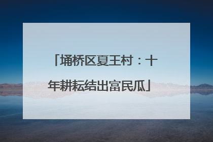 埇桥区夏王村：十年耕耘结出富民瓜