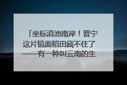 坐标滇池南岸！晋宁这片镜面稻田藏不住了——有一种叫云南的生活之365天