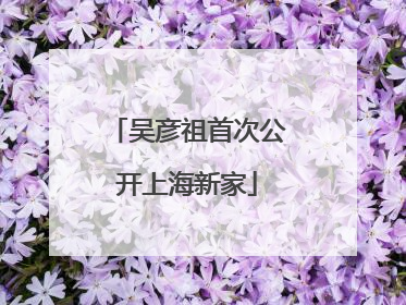吴彦祖首次公开上海新家