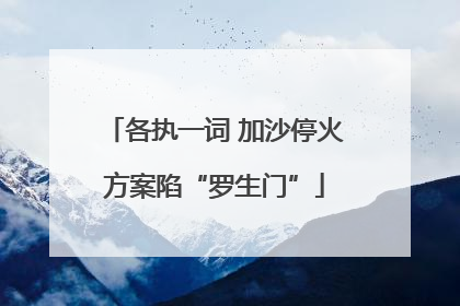 各执一词 加沙停火方案陷“罗生门”
