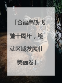 合福高铁飞驰十周年，绘就区域发展壮美画卷