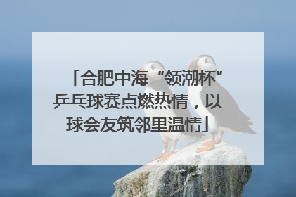 合肥中海“领潮杯”乒乓球赛点燃热情，以球会友筑邻里温情