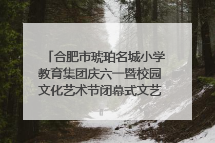 合肥市琥珀名城小学教育集团庆六一暨校园文化艺术节闭幕式文艺汇演圆满举行