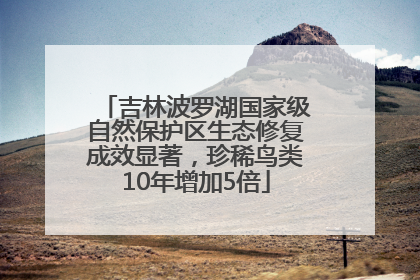 吉林波罗湖国家级自然保护区生态修复成效显著，珍稀鸟类10年增加5倍