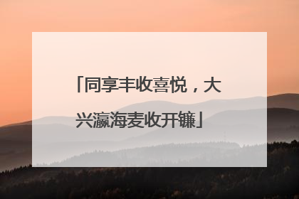同享丰收喜悦，大兴瀛海麦收开镰