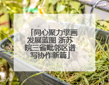 同心聚力擘画发展蓝图 浙苏皖三省毗邻区谱写协作新篇