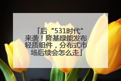 后“531时代”来袭！隆基绿能发布轻质组件，分布式市场后续会怎么走