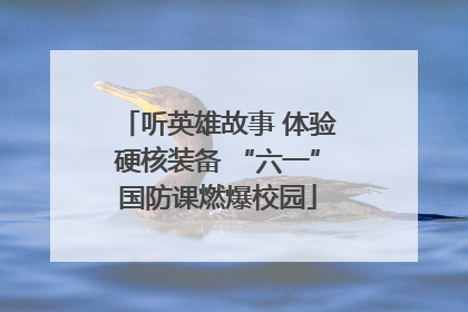 听英雄故事 体验硬核装备 “六一”国防课燃爆校园