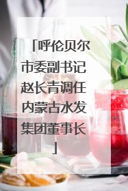 呼伦贝尔市委副书记赵长青调任内蒙古水发集团董事长