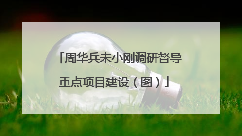 周华兵未小刚调研督导重点项目建设（图）