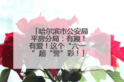 哈尔滨市公安局平房分局：有趣！有爱！这个“六一”超“警”彩！
