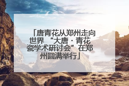 唐青花从郑州走向世界 “大唐・青花瓷学术研讨会”在郑州圆满举行
