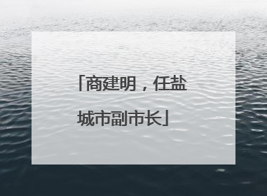 商建明，任盐城市副市长
