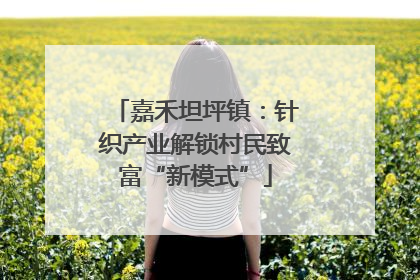 嘉禾坦坪镇：针织产业解锁村民致富“新模式”