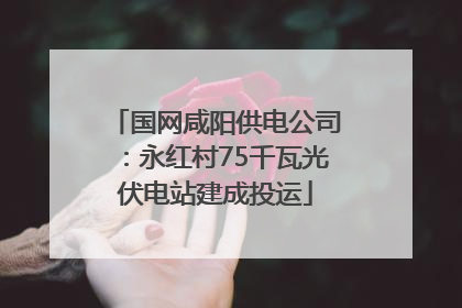 国网咸阳供电公司：永红村75千瓦光伏电站建成投运