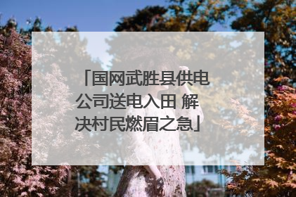 国网武胜县供电公司送电入田 解决村民燃眉之急