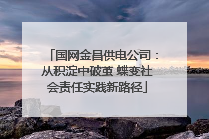 国网金昌供电公司：从积淀中破茧 蝶变社会责任实践新路径