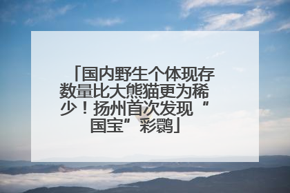 国内野生个体现存数量比大熊猫更为稀少！扬州首次发现“国宝”彩鹮