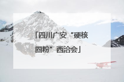 四川广安“硬核圈粉”西洽会