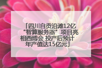 四川自贡沿滩12亿“智算服务器”项目亮相西博会 投产后预计年产值达15亿元