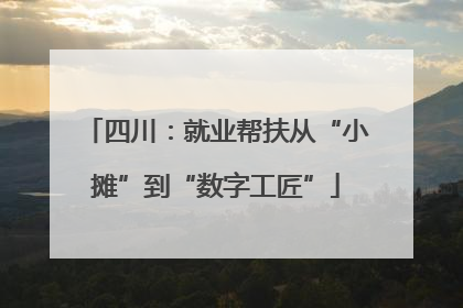 四川：就业帮扶从“小摊”到“数字工匠”