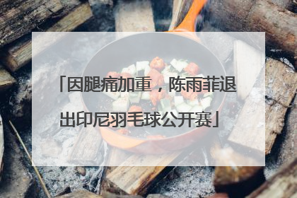 因腿痛加重，陈雨菲退出印尼羽毛球公开赛