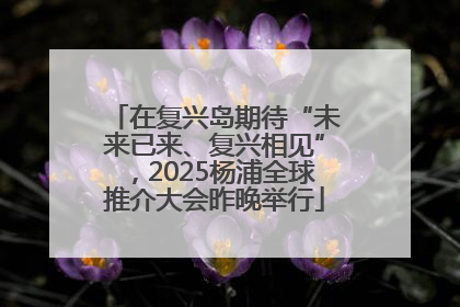 在复兴岛期待“未来已来、复兴相见”，2025杨浦全球推介大会昨晚举行