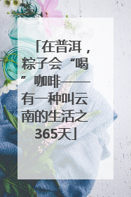 在普洱，粽子会“喝”咖啡——有一种叫云南的生活之365天