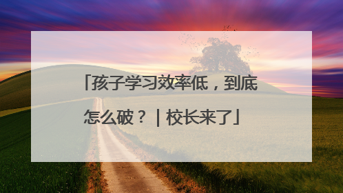 孩子学习效率低，到底怎么破？｜校长来了