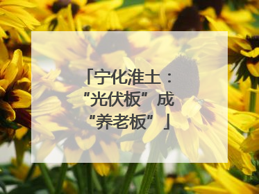 宁化淮土：“光伏板”成“养老板”