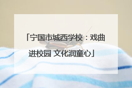 宁国市城西学校：戏曲进校园 文化润童心