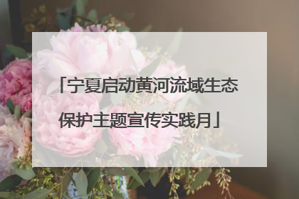 宁夏启动黄河流域生态保护主题宣传实践月