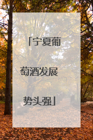 宁夏葡萄酒发展势头强