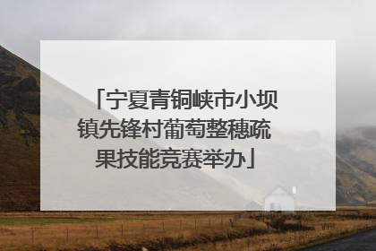 宁夏青铜峡市小坝镇先锋村葡萄整穗疏果技能竞赛举办