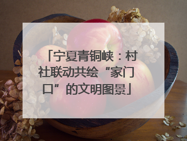 宁夏青铜峡：村社联动共绘“家门口”的文明图景