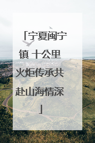 宁夏闽宁镇 十公里火炬传承共赴山海情深