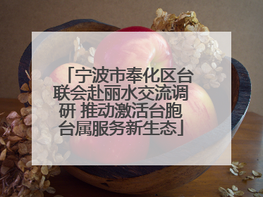 宁波市奉化区台联会赴丽水交流调研 推动激活台胞台属服务新生态