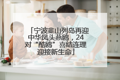 宁波韭山列岛再迎中华凤头燕鸥，24对“酷鸥”喜结连理迎接新生命